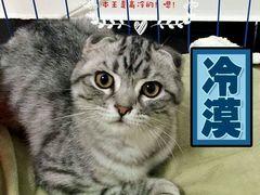 -美玲拉面(鞍山西道店)