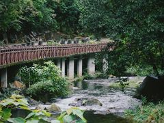 -广州市石门国家森林公园