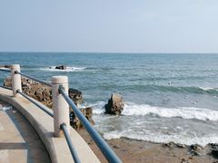 -海合安青岛极地海洋公园