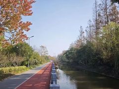 -上海长兴岛郊野公园