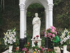 -上海佘山国家森林公园西佘山园