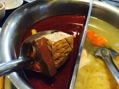 -鼎王麻辣锅(七贤店)