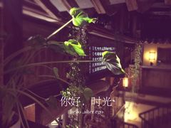 -普洱茶府(博乐广场店)
