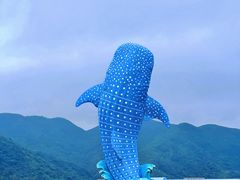 -珠海长隆海洋王国