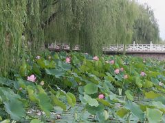 -满都海公园