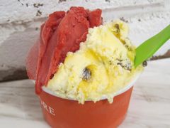 百香果酪-Dal Cuore 达可芮冰淇淋(陕西北路店)