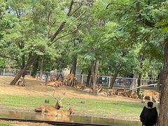 -秦皇岛野生动物园