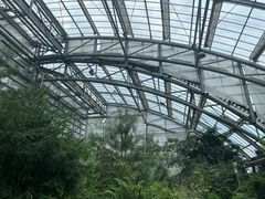 -南山植物园