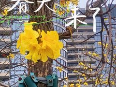 -洲头咀公园