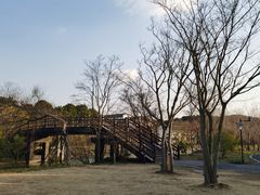 -广富林郊野公园