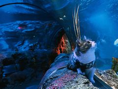 -沈阳海洋探索中心