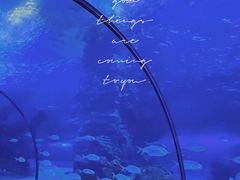 -左海海底世界
