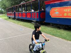 -永定河休闲森林公园