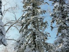 android_upload_pic-雪谷