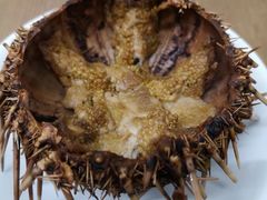 烤海胆-海胆小馆(春柳店)