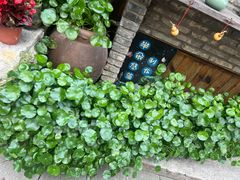 -金山嘴渔村