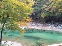 -光雾山旅游景区