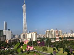-小茶闲舍·观景商务茶馆(广州塔店)