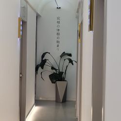 点击看大图 -赫本轻奢美颜中心