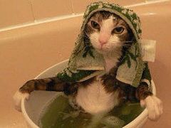 -雅安楠水阁温泉酒店