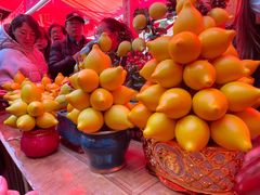 -越秀西湖花市(广州城市广场花卉店)