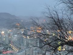 -兰山公园
