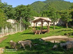 -西安秦岭野生动物园