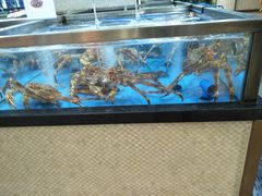 水产区-七鲜超市(万向城店)