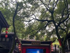 -杭州黄龙洞