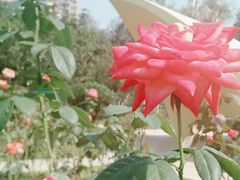 -人民公园(罗湖区)