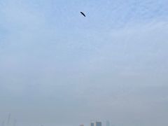 -海珠湖公园