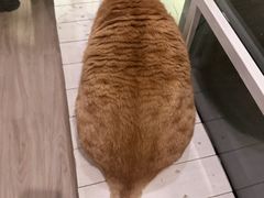 -小时光咖啡馆(北锣鼓巷店)