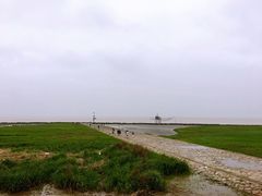 -南汇嘴观海公园