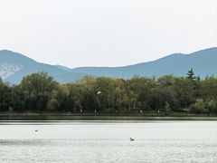 -云龙湖旅游景区