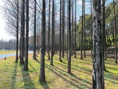 -宜兴龙背山森林公园
