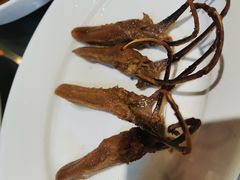 -陈鹏鹏潮汕菜(宝安机场T3航站楼店)