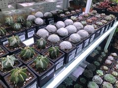 -KKV(天津津南吾悦广场店)