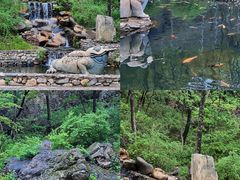 -大连天门山国家森林公园