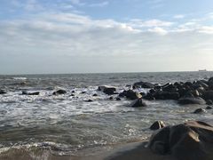 -广东惠东海龟国家级自然保护区