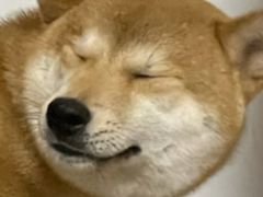 -鑫涛温泉汗蒸时代