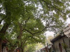 -北京国子监胡同
