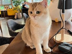 -咖法森林·咖啡  酒吧(天河店)