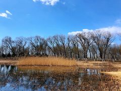 -东郊湿地公园