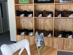 -爱妮康宠物医院·干细胞免疫细胞·肿瘤·心脏(张江店)