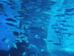 -常州海昌海洋探索馆