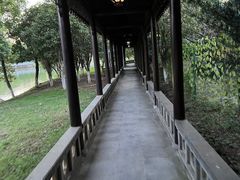 -八大山人梅湖景区