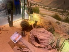 -正佳雨林生态植物园