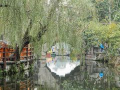 -桂湖森林公园