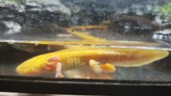 -酷嗒动物文化乐园(cutezoo西溪乐天城店)