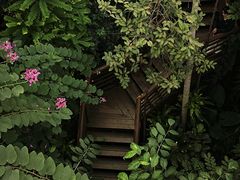 -郑州植物园